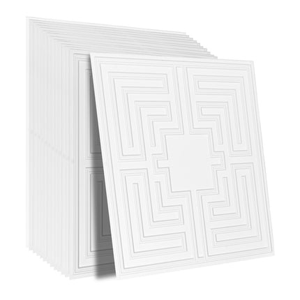 Ceiling Tiles 12-Pack 24 x 24 in PVC Easy Installation White Echo Pattern.