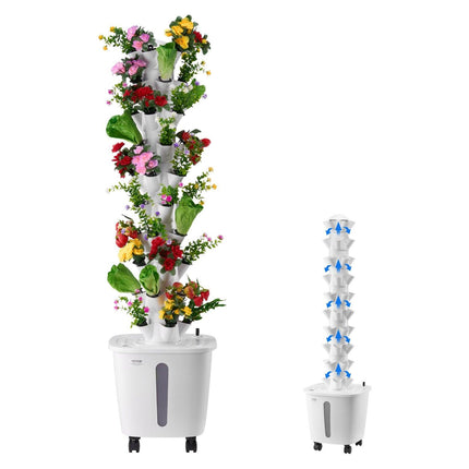 Home & Garden Cartoz.