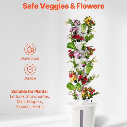 Home & Garden Cartoz.