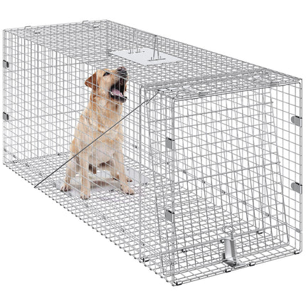 Pet Care Cartoz.