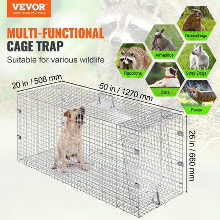 Pet Care Cartoz.
