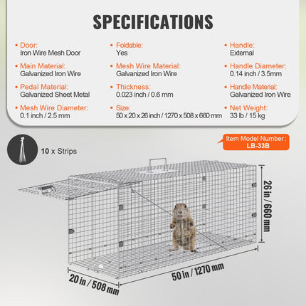Pet Care Cartoz.
