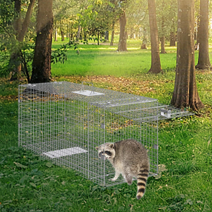 Pet Care Cartoz.