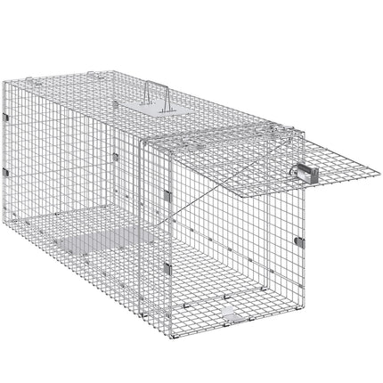 Pet Care Cartoz.