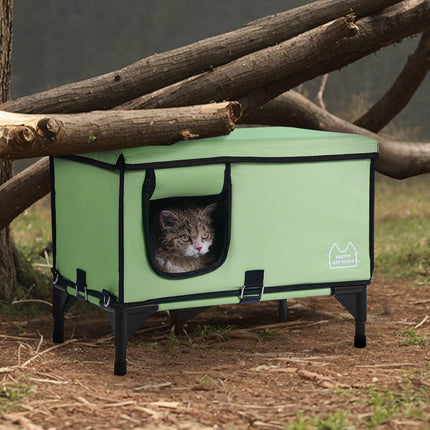 Pet Care Cartoz.