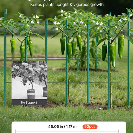 Garden Stakes, 50 Pack, 1170 mm, Plastic Coated Metal Tomato Stakes, Garden Sticks for Plants Support, with Pointed End and Non-Slip Bumps for Growing Climbing Plants, Outdoor Vegetables.