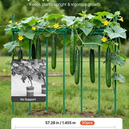 Garden Stakes, 50 Pack, 1455 mm, Plastic Coated Metal Tomato Stakes, Garden Sticks for Plants Support, with Pointed End and Non-Slip Bumps for Growing Climbing Plants, Outdoor Vegetables.