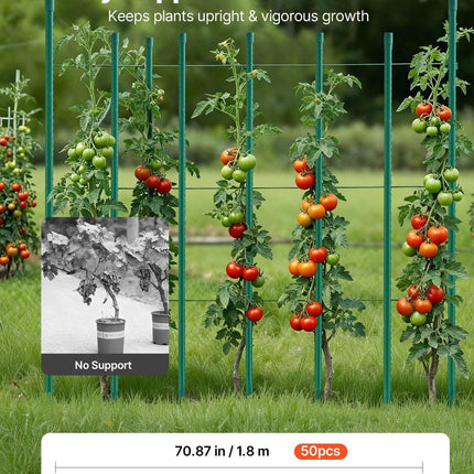 Garden Stakes, 50 Pack, 1800 mm, Plastic Coated Metal Tomato Stakes, Garden Sticks for Plants Support, with Pointed End and Non-Slip Bumps for Growing Climbing Plants, Outdoor Vegetables.