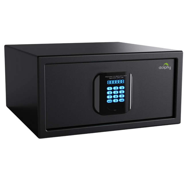 Electronics > Business & Home Security > Safes & Lock Boxes.