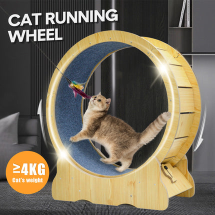 Pet Care Cartoz.