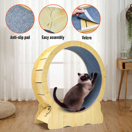 Pet Care Cartoz.