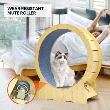 Pet Care Cartoz.