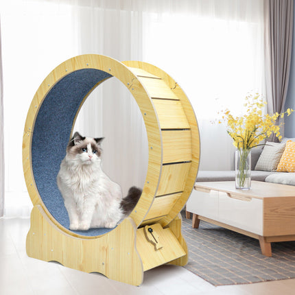 Pet Care Cartoz.