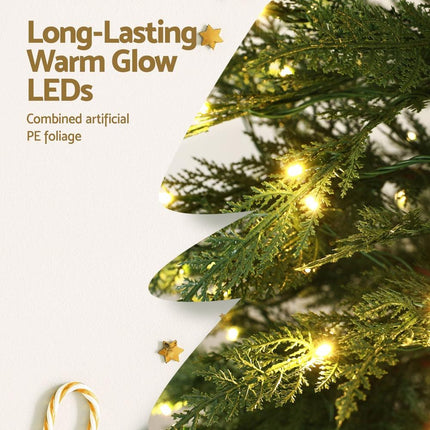 Jingle Jollys Christmas Tree 1.5M LED Xmas Tree Sparse 263 Tips Party Decoration.