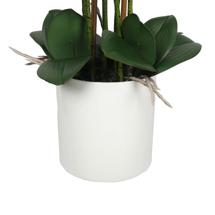 Large Multi-Stem White Potted Faux Orchid 65cm.
