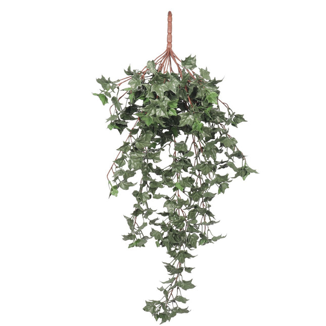 Hanging English Ivy Bush 80cm UV Resistant.