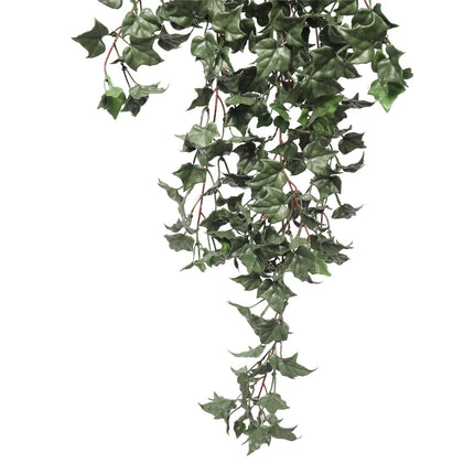 Hanging English Ivy Bush 80cm UV Resistant.